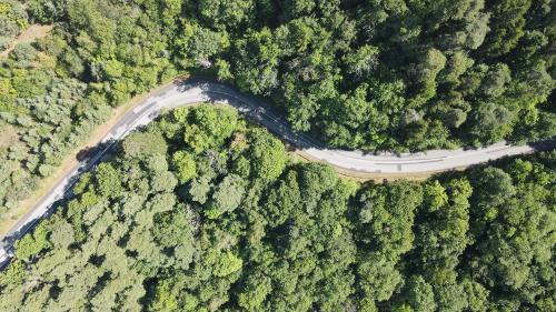 DJI_3759.JPG